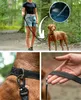 A woman walking a dog on a leash in a forest setting, with close-ups of the leash attachment and handle. Voir les images du produit