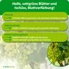 Purgrün -Tafeltrauben-Dünger 1 Liter, Produktbild-Vorschau 3