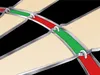 Winmau DIAMOND PLUS Diamond Wire Design Štetinový terčík Náhľad obrázku produktu 5