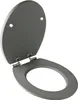 A toilet seat and lid are shown in an open position against a white background. Produktbild-Vorschau