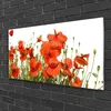 Acrylglasbilder 100x50 Wandbild Druck Mohnblumen Pflanzen Produktbild-Vorschau 2