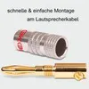 NEXMEX Bananenstecker 4mm schraubbar 24K vergoldet Produktbild-Vorschau 11