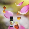 Lotus Amber Parfum Öl – 100 % reines Duftöl für Produktbild-Vorschau 3