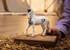Schleich Horse Club Marwari Hengst 14898 Produktbild-Vorschau 3