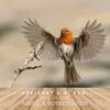 A robin in flight in front of a blurred background, with a wooden surface in the foreground. Produktbild-Vorschau