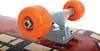 Schildkröt Funsports Kicker 31 Skateboard (classic) Maple Náhľad obrázku produktu 21