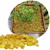 Gelber Glas-Splitt 3–5 cm 5 kg – Dekorativer Glaskies für Produktbild-Vorschau 1
