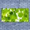 Glasbilder 140x70 Wandbild Druck auf Glas Blätter Pflanzen Produktbild-Vorschau 2
