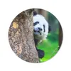 MuchoWow® Mauspad Mousepad Panda - Baum - Wald 50x50 cm - Produktbild-Vorschau 1