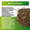 Greenyp Sommer Blumenmischung I 100g für 100m² I Produktbild-Vorschau 4