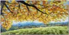 Coloray Bild aus Leinwand 100x50 Leinwand Dekoration - Baum Produktbild-Vorschau 1
