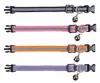 Trixie Junior -Kragen Kätzchen reflektiert Assorti Produktbild-Vorschau 11