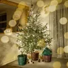 A Christmas tree decorated with lights and ornaments, standing in a room with decorative pots and pinecones around its base. Voir les images du produit