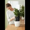 A woman is tending to a potted plant indoors. Produktbild-Vorschau