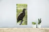 MuchoWow® Poster Ein europäischer Seeadler schaut über das Produktbild-Vorschau 5