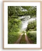 Gerahmtes Poster - Rahmen in heller Eiche - Pfad Natur Wald Produktbild-Vorschau 1