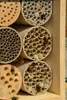 dobar Profi-Insektenhotel für Wildbienen, massive Nisthilfe Produktbild-Vorschau 7
