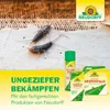 Neudorff Permanent Fliegenfänger Fliegenbekämpfung 4 Stk Produktbild-Vorschau 8