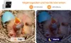 RAINBEAN Bird House mit Camera, 4 Millionen Pixel Produktbild-Vorschau 2