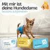 HUND IST KÖNIG Windeln für Hündinnen [3 Stk], XS (21 bis 29 Produktbild-Vorschau 2