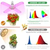 Comparison of two LED grow lights with spectral graphs and plant growth illustrations. Produktbild-Vorschau