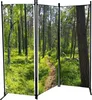 JW Paravent 170 x 165cm mit Fotodruck Motiv: Wald 2535-02 Produktbild-Vorschau 3