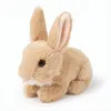 WWF - Peluche ECO - lepre (15 cm) peluche realistico Anteprima dell’immagine prodotto 4