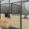 vidaXL Trensenhalter für 5 Trensen Schwarz Eisen Produktbild-Vorschau 3