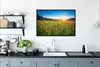 MuchoWow® Gerahmtes Poster Sonne - Gras - Blumen 90x60 cm - Produktbild-Vorschau 3