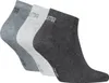 12 Paar Uni Puma Sneaker Füßlinge kurze Socken in Anthrazit Produktbild-Vorschau 3