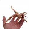 Aquarium Wurzel Red Moor XS 10-15 cm, natürliche Deko für Produktbild-Vorschau 2