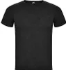 Roly CA6660 | Herren Fox T-Shirt, Single-Jersey - Farbe: Produktbild-Vorschau 2