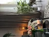 Künstlicher bambus h90cm  - Atmosphera créateur d'intérieur Produktbild-Vorschau 15