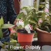 40 vasi da giardino in plastica da 10 cm, vasi per la Anteprima dell’immagine prodotto 6