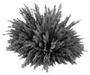 Magnetfeld-Eisenpulver 100g für Magnetfeldexperimente, zum Produktbild-Vorschau 4