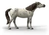 schleich BAYALA 14916, 5 Jahr(e), Mehrfarbig, Kunststoff Produktbild-Vorschau 12