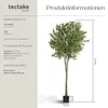 Umělý olivovník Oleand, realistická textura - 210 cm Náhled obrázku produktu 11