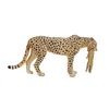 Mojo 387167 Animal Planet Guépard femelle avec son petit Voir les images du produit 3