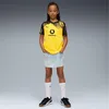 Koszulki Puma Bvb Home Jersey Replica 946438001 Podgląd zdjęcia produktu 5