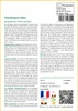 SAFLAX  - Flamboyant bleu - 50 graines - Avec substrat - Voir les images du produit 3