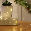 LED-Micro-Lichterkette 5m – 100 warmweisse LEDs, Produktbild-Vorschau 7