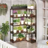 A corner plant stand filled with various potted plants on a balcony. Podgląd zdjęcia produktu