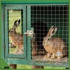 Svařované drátěné pletivo – pozinkované – 25 x 25 mm – drát Náhled obrázku produktu 6