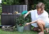 A woman is gardening next to a large storage box. Anteprima dell’immagine prodotto