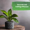 Blusana Langzeitdünger 400 ml Lewatit HD 50 Produktbild-Vorschau 5