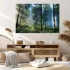 Bild auf Leinwand - Leinwandbild - Einteilig - Wald Produktbild-Vorschau 7