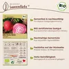 Samenliebe  Rote Bete Samen alte Sorte Chioggia süße feine Produktbild-Vorschau 9