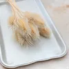 Distel - (Dipsacus) - Gebleichte Produktbild-Vorschau 3