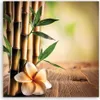 Leinwandbild Bambus-Zen-Blumen 30x30 Feeby Gelb bild für Produktbild-Vorschau 3