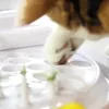 EDUPET 05005AA Cat Love Intelligence Toy Cat Center, biela Náhľad obrázku produktu 6